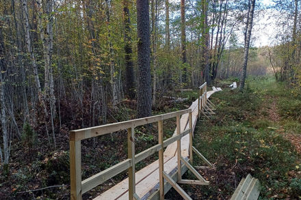 Lankuista tehtyä pitkospuureittiä metsän keskellä.