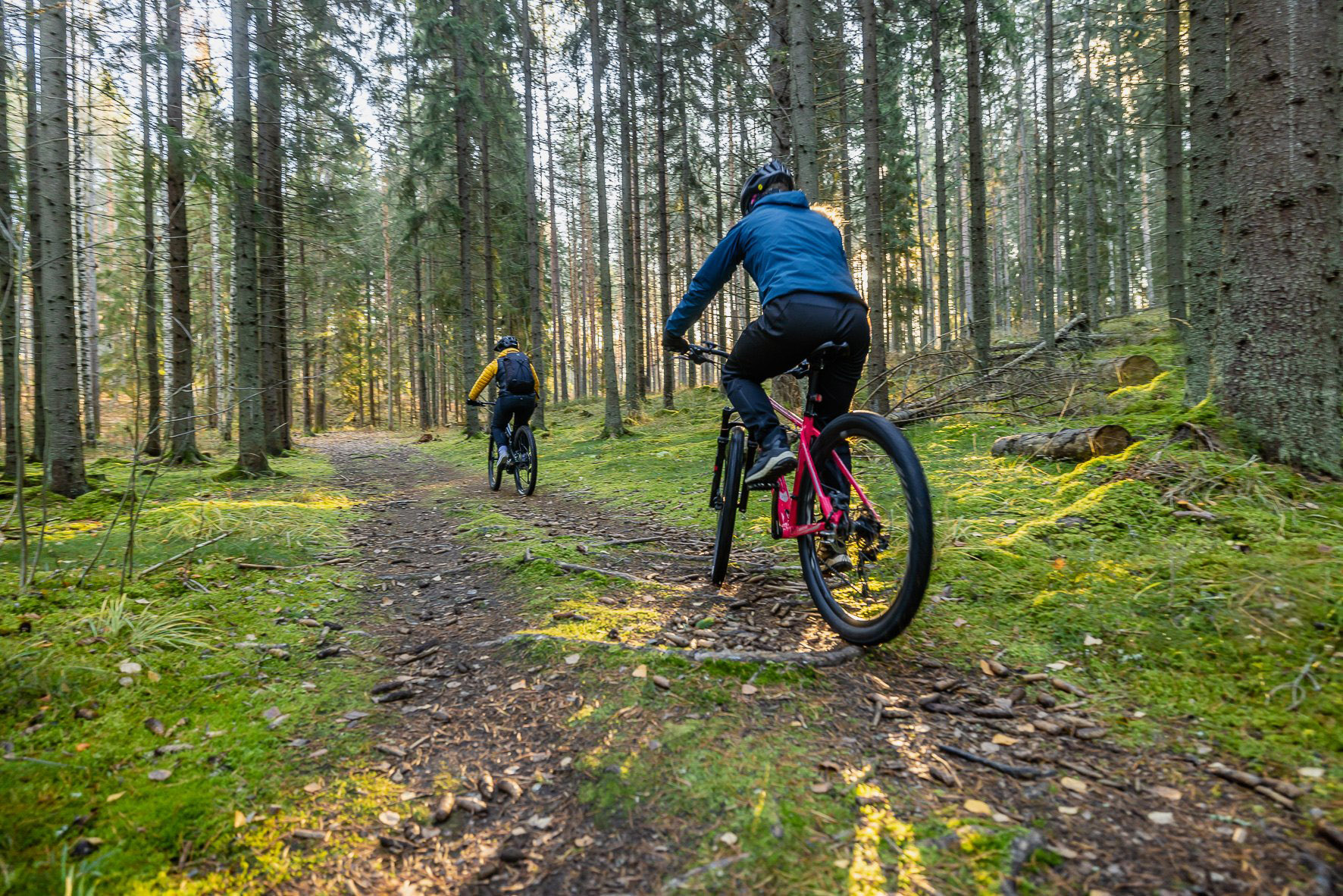 Kaksi ihmistä pyöräilee metsäpolulla.