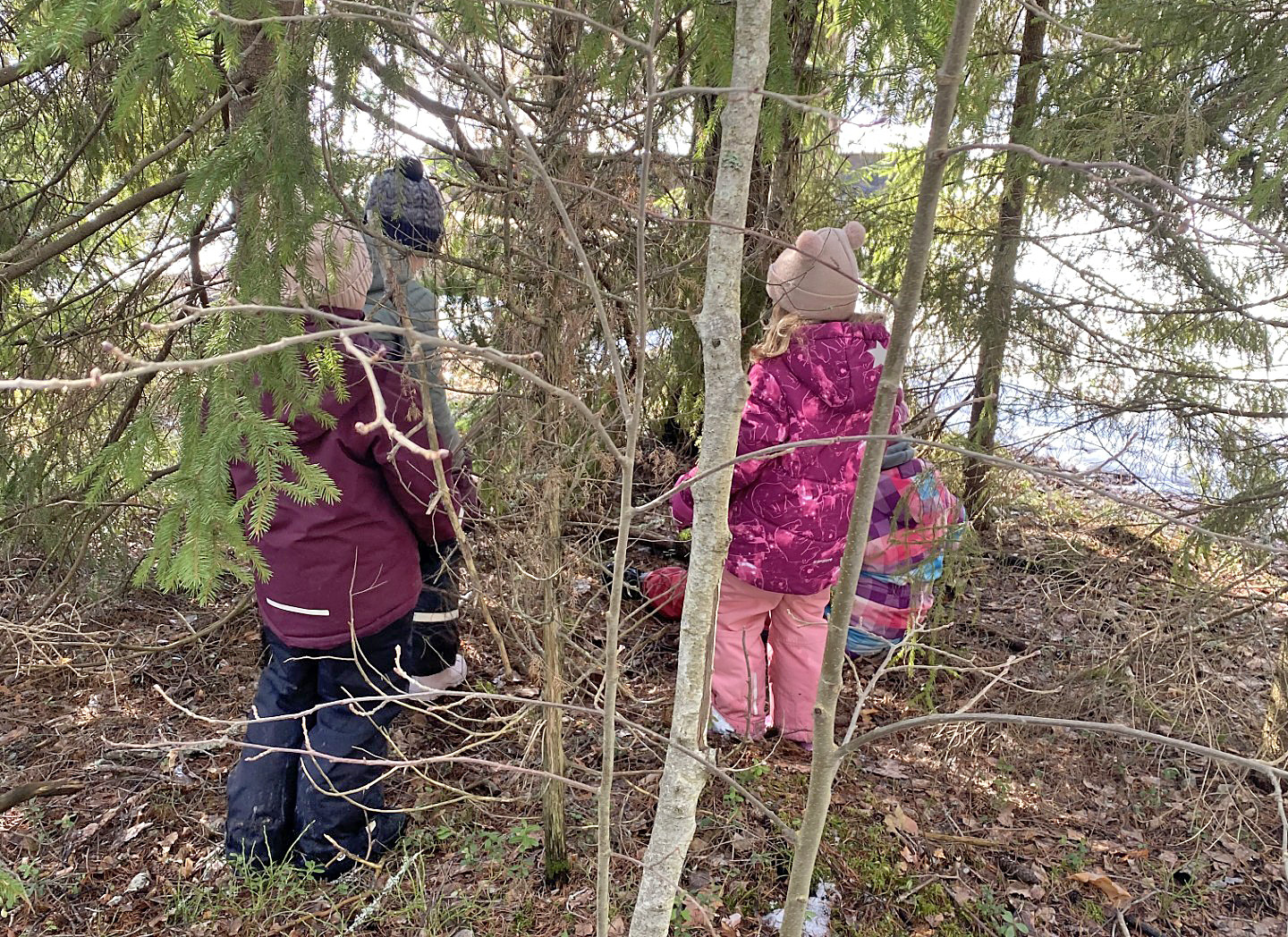 Kolme lasta metsässä.